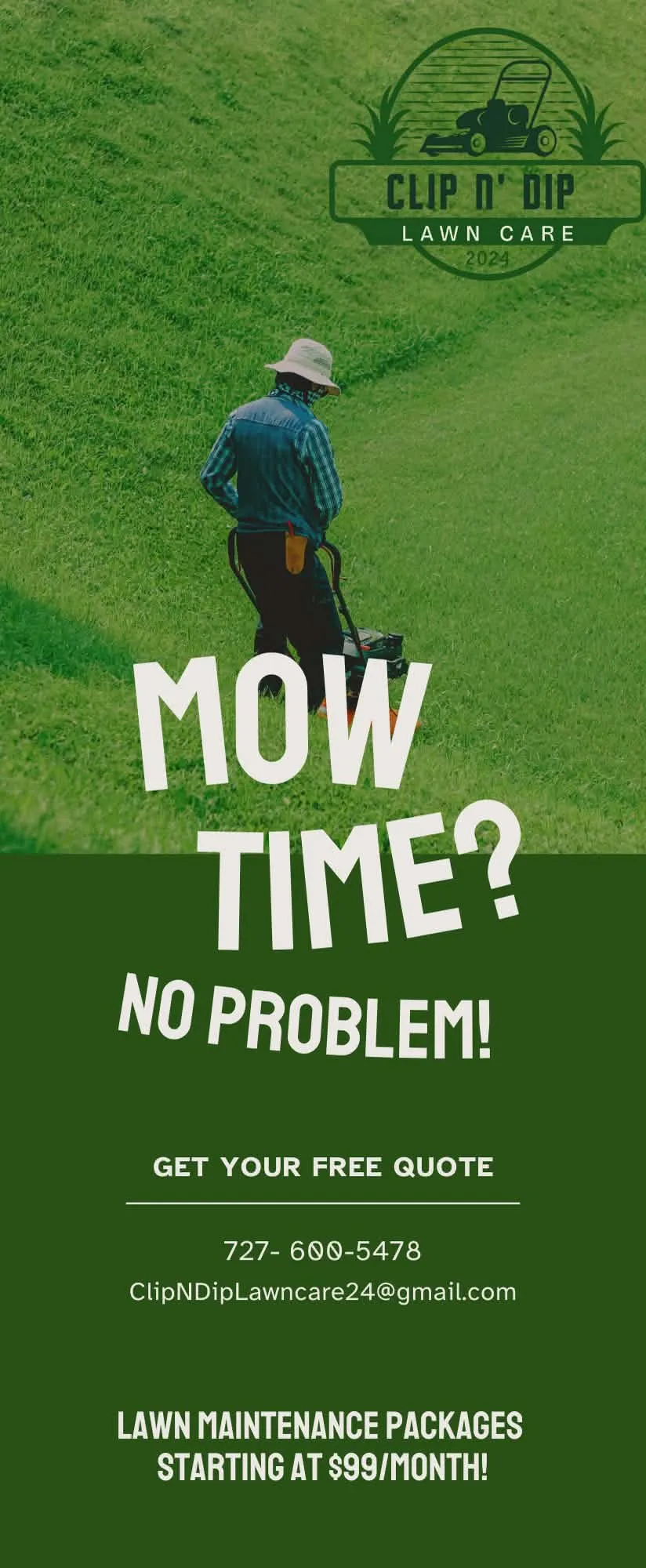 Professional lawn care service